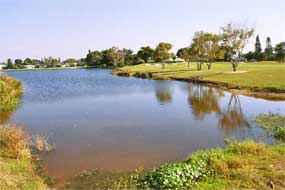 Community lakes and preserve