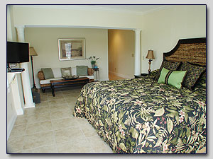 Master Bedroom View 1 - King