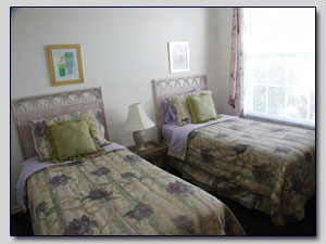 Twin Bedroom 2