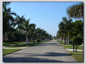 Street Scene