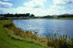 Egrets Way - View across the lake