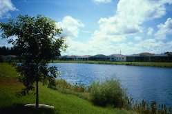 Egrets Way - Panorama of Lake