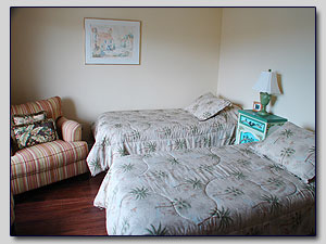 Bedroom 3 - Twin
