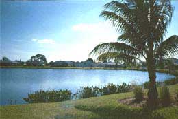 Ibis One - View across the lake, manicured lawns, tall palms, and hibiscus are only steps away