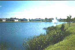 Ibis One - Palms and panorama of lake
