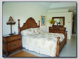 Master Bedroom View 1