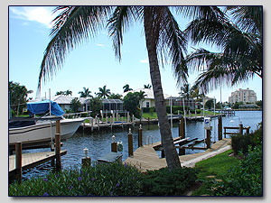 Dock View