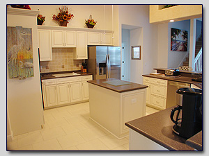 Kitchen View 2