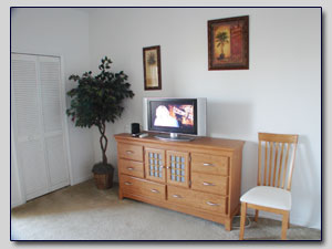 Master Bedroom TV