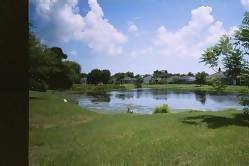 Pelicans Watch - View across the lake