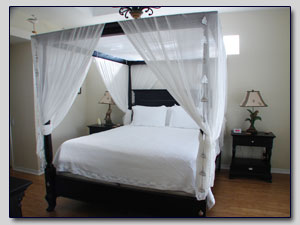 Master Bedroom View 1