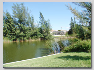 Water View 3