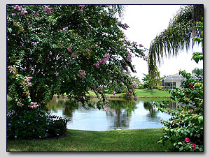Lake View 1