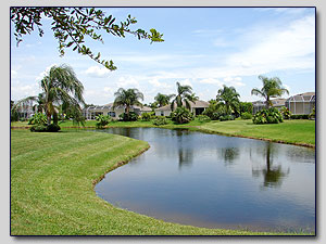Lake View 3
