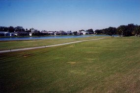 Sandhill Crane - Long view of the golf course