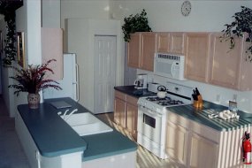 Sandhill Crane - Kitchen