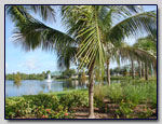 Waterchase at Sail Harbor
