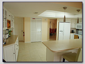 Kitchen View 1
