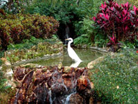 Secret Places - Ibis at Sea World Orlando