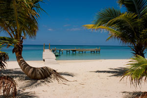 Beach View