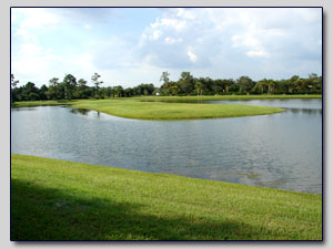 Golf Course View 2