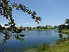 White-Ibis-Lake-View