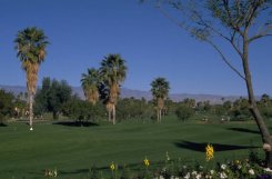 Golf Course Views