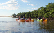 Kayak Excursions